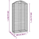 buet gabionkurv 100x50x200/220 cm galvaniseret jern