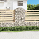 buet gabionkurv 100x50x200/220 cm galvaniseret jern