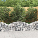 buet gabionkurv 150x30x40/60 cm galvaniseret jern