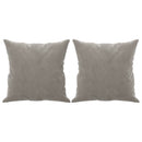2-personers sofa med puder og hynder 120 cm velour lysegrå