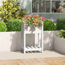 plantekasse med hylde 54x34,5x81 cm massivt fyrretræ hvid