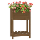 plantekasse med hylde 54x34,5x81 cm massivt fyrretræ gyldenbrun