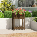 plantekasse med hylde 54x34,5x81 cm massivt fyrretræ gyldenbrun