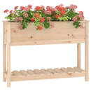 plantekasse med hylde 111,5x34,5x81 cm massivt fyrretræ