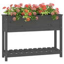 plantekasse med hylde 111,5x34,5x81 cm massivt fyrretræ grå