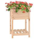 plantekasse med hylde 54x54x81 cm massivt fyrretræ