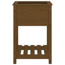 plantekasse med hylde 54x54x81 cm massivt fyrretræ gyldenbrun
