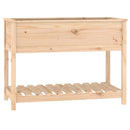 plantekasse med hylde 111,5x54x81 cm massivt fyrretræ