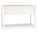 plantekasse med hylde 111,5x54x81 cm massivt fyrretræ hvid