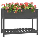 plantekasse med hylde 111,5x54x81 cm massivt fyrretræ grå
