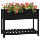 plantekasse med hylde 111,5x54x81 cm massivt fyrretræ sort