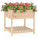 plantekasse med hylde 82,5x82,5x81 cm massivt fyrretræ