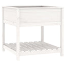 plantekasse med hylde 82,5x82,5x81 cm massivt fyrretræ hvid
