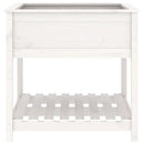 plantekasse med hylde 82,5x82,5x81 cm massivt fyrretræ hvid