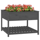plantekasse med hylde 111,5x111,5x81 cm massivt fyrretræ grå