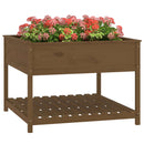 plantekasse med hylde 111,5x111,5x81 cm massivt fyrretræ brun