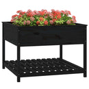 plantekasse med hylde 111,5x111,5x81 cm massivt fyrretræ sort