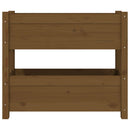 plantekasse 77x25x66 cm massivt fyrretræ gyldenbrun