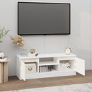 tv-bord med låge 102x30x36 cm hvid