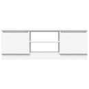 tv-bord med låge 102x30x36 cm hvid
