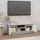 tv-bord med låge 102x30x36 cm betongrå