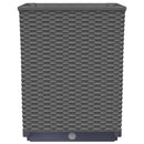 plantekasser 2 stk. 30x30x37 cm polypropylen sort
