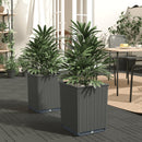 plantekasser 2 stk. 30x30x37 cm polypropylen sort