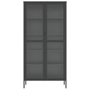 skab 85x40x180 cm glas og stål sort