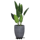 møbelhunde 8 stk. med 8 hjul 150 kg polypropylen sort