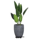 møbelhunde 12 stk. med 8 hjul 150 kg polypropylen sort