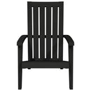 Adirondack-havestol polypropylen sort
