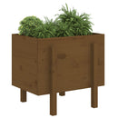 plantekasse 62x50x57 cm massivt fyrretræ gyldenbrun