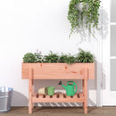 højbed 101x30x69 cm massivt douglasgran
