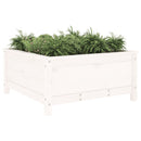 plantekasse 82,5x82,5x39 cm massivt fyrretræ hvid