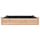 højbed med foring 120x120x25 cm massivt fyrretræ