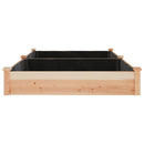 plantekasse med foring 240x120x25 cm massivt fyrretræ