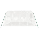drivhus med stålramme hvid 20 m² 5x4x2,3 m