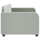 daybed 80x200 cm velour lysegrå