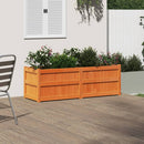 plantekasse 150x50x50 cm massivt fyrretræ gyldenbrun
