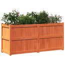 plantekasse 150x50x70 cm massivt fyrretræ gyldenbrun