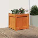 plantekasse 40x40x40 cm massivt fyrretræ gyldenbrun