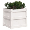 plantekasse 50x50x50 cm massivt fyrretræ hvid