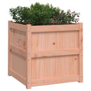 plantekasser 2 stk. massivt douglasgran