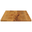 bordplade 80x60x3,8 cm rektangulær massivt mangotræ
