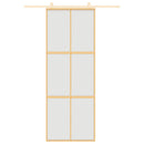 skydedør 76x205 cm matteret sikkerhedsglas og aluminium gylden