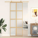 skydedør 76x205 cm matteret sikkerhedsglas og aluminium gylden