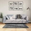gulvtæppe OVIEDO 120x120 cm kort luv antracitgrå