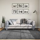 gulvtæppe OVIEDO 200x200 cm kort luv antracitgrå