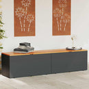opbevaringsboks til haven 220x50x54 cm polyrattan akacie sort