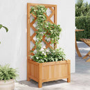 plantekasse med espalier brun 40x30x90 cm massivt grantræ